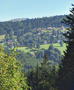 Urlaub in der Nationalparkregion Bayerischer Wald