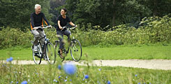 Radfahren im Nationalpark Bayerischer Wald